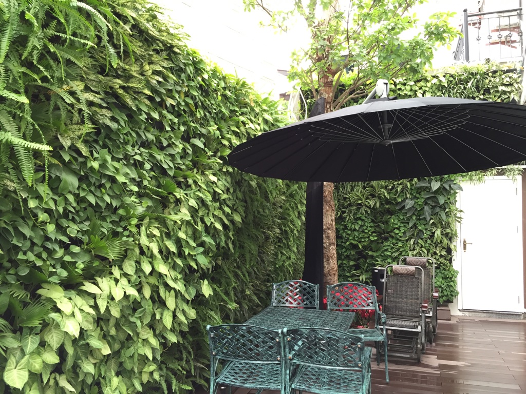 outdoor vertical garden
