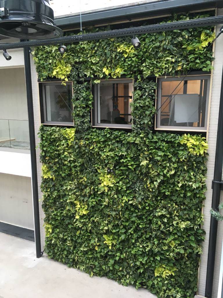 Living Walls Vertical Gardens